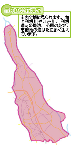 市内の分布状況の図