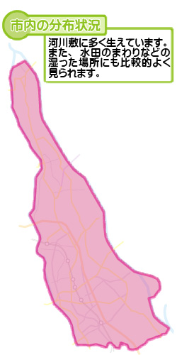 市内の分布状況の図