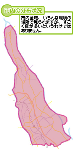 市内の分布状況の図