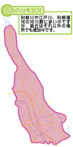 市内の分布状況の図