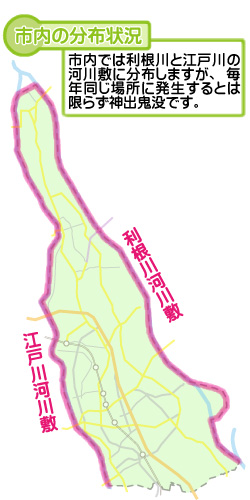 市内の分布状況の図