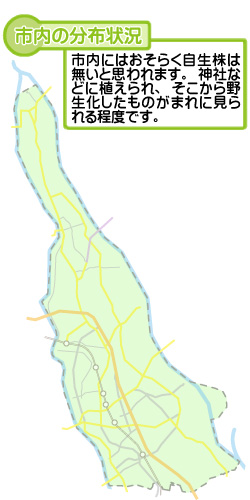 市内の分布状況の図