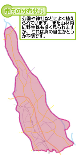 市内の分布状況の図