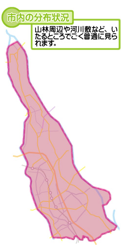 市内の分布状況の図