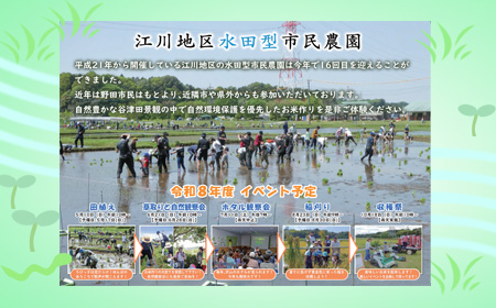 みんなでお米づくり！！（外部リンク・新しいウィンドウで開きます）