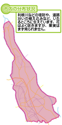 市内の分布状況の図