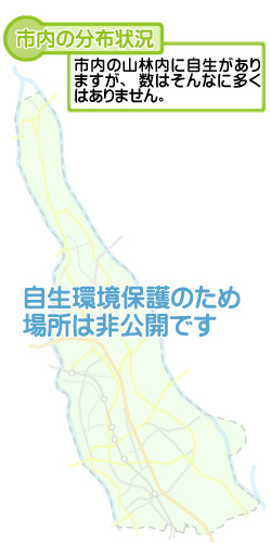 市内の分布状況の図