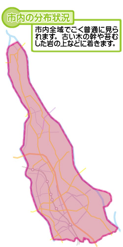 市内の分布状況の図