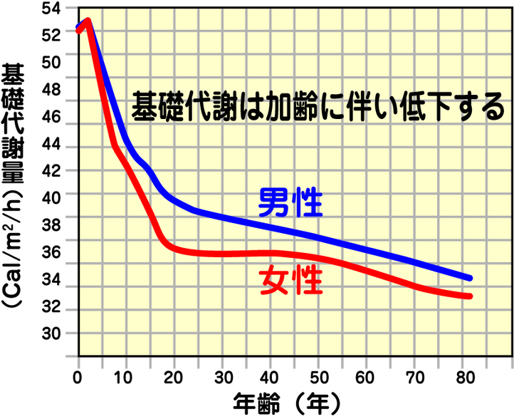 上がる 運動 すると 体温