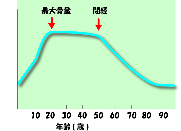 骨密度の経年変化のグラフ