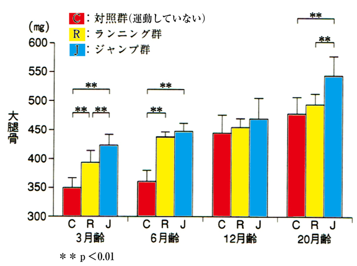 ラットのグラフ