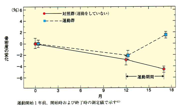 骨密度の変化のグラフ