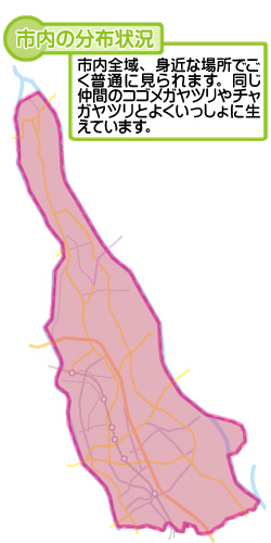 市内の分布状況の図