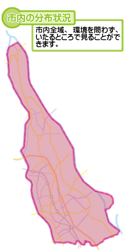 市内の分布状況の図