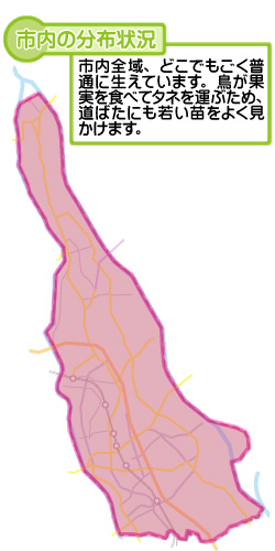 市内の分布状況の図