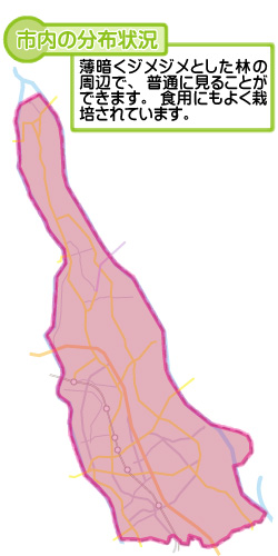 市内の分布状況の図