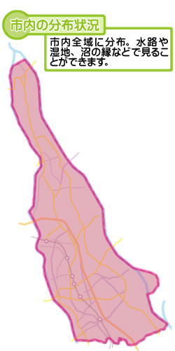 市内の分布状況の図