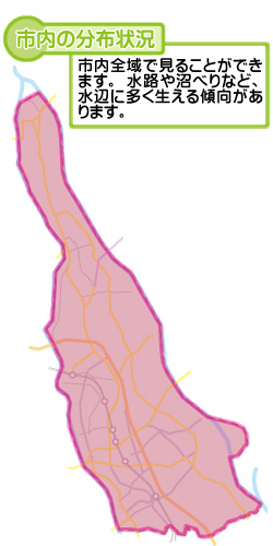 市内の分布状況の図