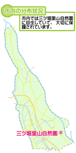 市内の分布状況の図