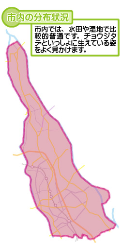 市内の分布状況の図