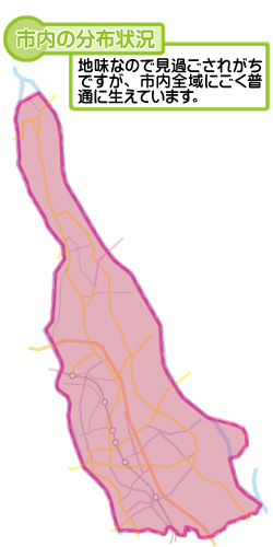 市内の分布状況の図