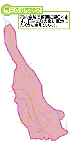 市内の分布状況の図