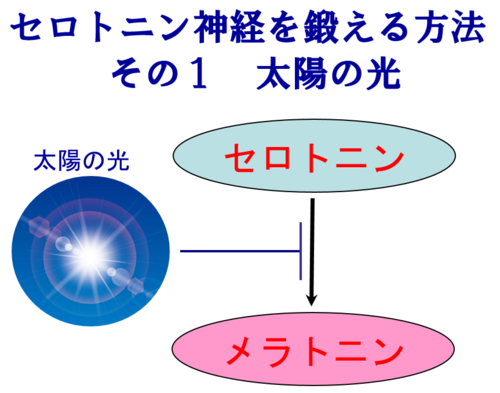 太陽の光