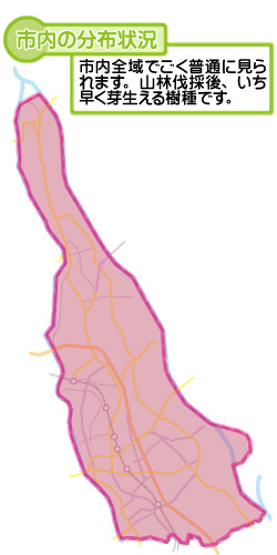 市内の分布状況の図