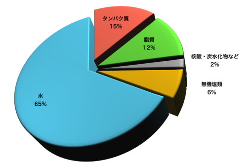 ヒトの細胞（組成）