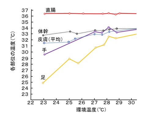 図1