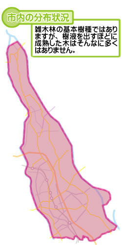 市内の分布状況の図