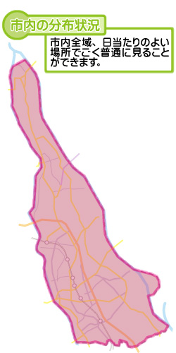 市内の分布状況の図