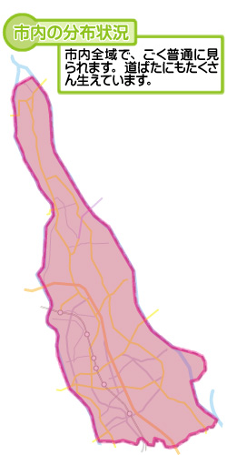 市内の分布状況の図