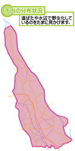 市内の分布状況の図