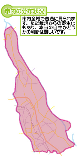 市内の分布状況の図