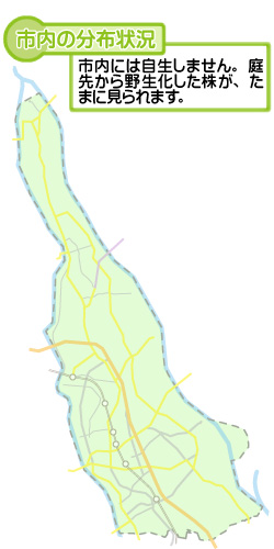 市内の分布状況の図