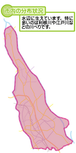 市内の分布状況の図