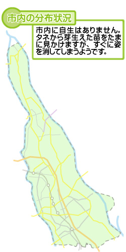 市内の分布状況の図