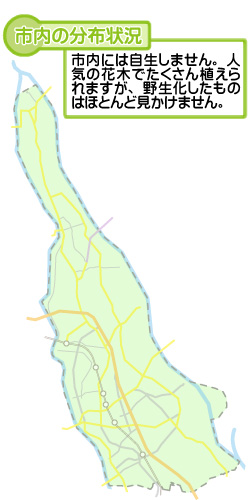 市内の分布状況の図