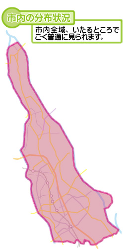 市内の分布状況の図