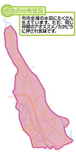 市内の分布状況の図