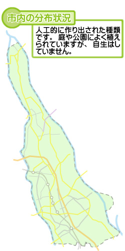 市内の分布状況の図