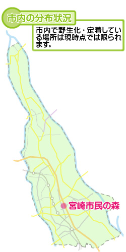 市内の分布状況の図