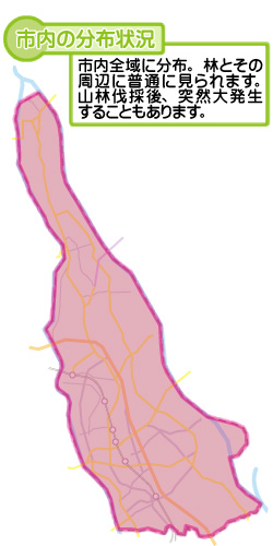 市内の分布状況の図