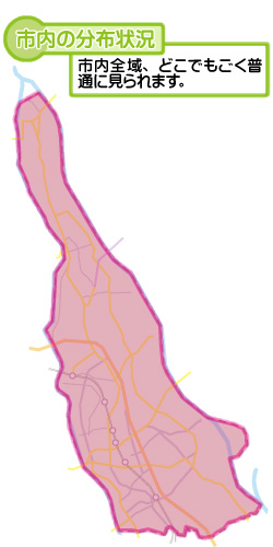 市内の分布状況の図