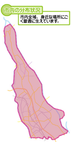 市内の分布状況の図