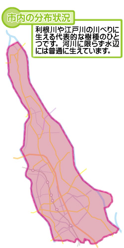 市内の分布状況の図