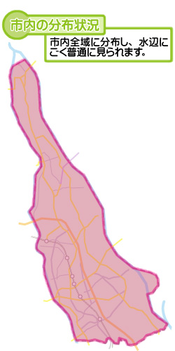 市内の分布状況の図