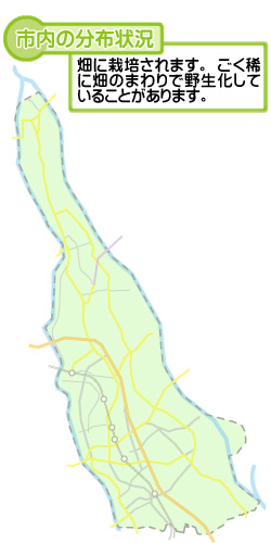 市内の分布状況の図