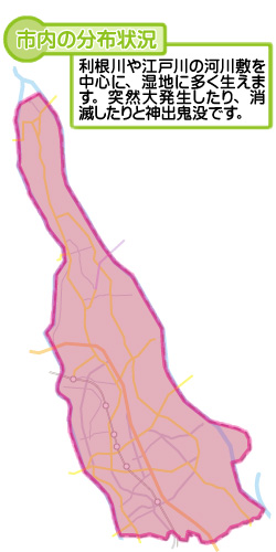 市内の分布状況の図